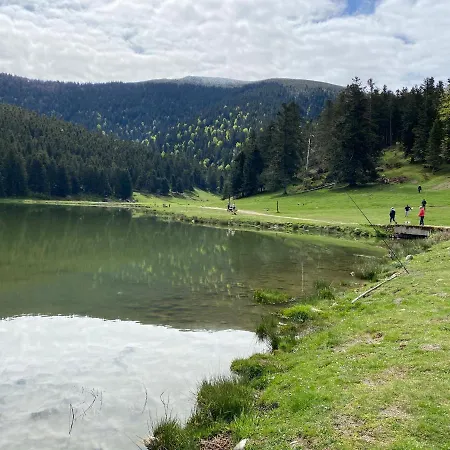 Holiday home Chaleureux Au De Payolle Campan