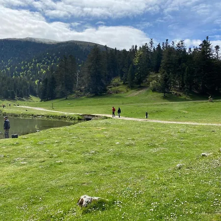 Chaleureux Au De Payolle Feriehus *